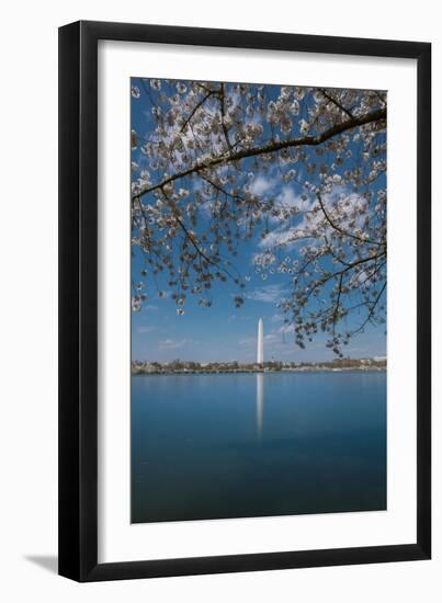 Washington Monument and Cherry Blossom-Belinda Shi-Framed Photographic Print