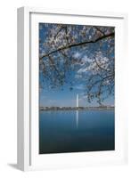 Washington Monument and Cherry Blossom-Belinda Shi-Framed Photographic Print