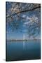 Washington Monument and Cherry Blossom-Belinda Shi-Stretched Canvas