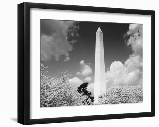 Washington Monument and cherry trees, Washington, D.C. - Black&W-Carol Highsmith-Framed Art Print