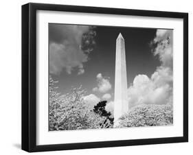 Washington Monument and cherry trees, Washington, D.C. - Black&W-Carol Highsmith-Framed Art Print
