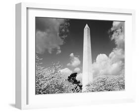 Washington Monument and cherry trees, Washington, D.C. - Black&W-Carol Highsmith-Framed Art Print