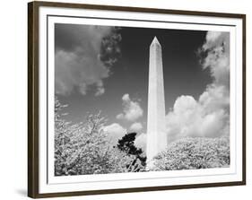 Washington Monument and cherry trees, Washington, D.C. - Black&W-Carol Highsmith-Framed Art Print