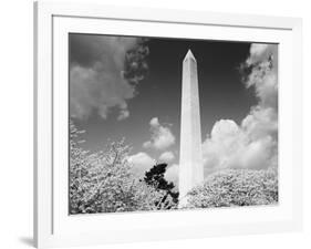 Washington Monument and cherry trees, Washington, D.C. - Black&W-Carol Highsmith-Framed Art Print