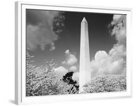 Washington Monument and cherry trees, Washington, D.C. - Black&W-Carol Highsmith-Framed Art Print