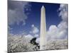 Washington Monument and cherry trees, Washington, D.C.-Carol Highsmith-Mounted Art Print