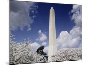 Washington Monument and cherry trees, Washington, D.C.-Carol Highsmith-Mounted Art Print