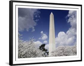 Washington Monument and cherry trees, Washington, D.C.-Carol Highsmith-Framed Art Print