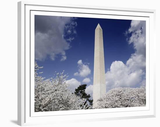 Washington Monument and cherry trees, Washington, D.C.-Carol Highsmith-Framed Art Print