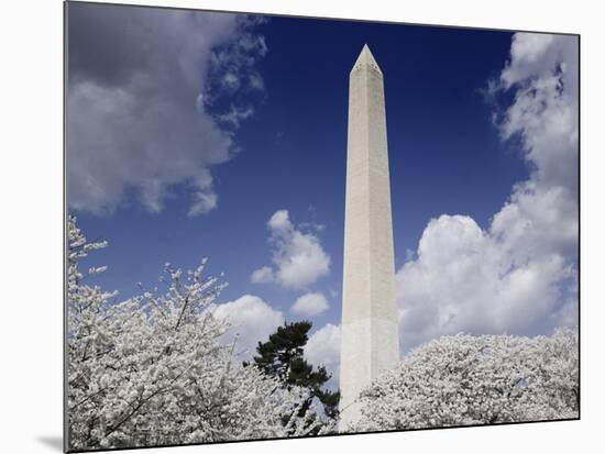 Washington Monument and cherry trees, Washington, D.C.-Carol Highsmith-Mounted Art Print