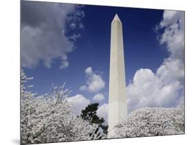 Washington Monument and cherry trees, Washington, D.C.-Carol Highsmith-Mounted Art Print