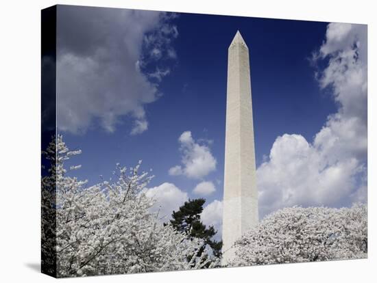 Washington Monument and cherry trees, Washington, D.C.-Carol Highsmith-Stretched Canvas