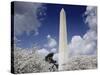 Washington Monument and cherry trees, Washington, D.C.-Carol Highsmith-Stretched Canvas