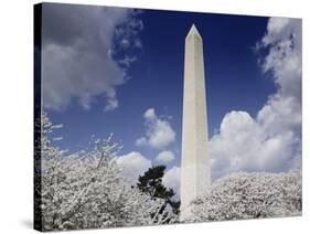 Washington Monument and cherry trees, Washington, D.C.-Carol Highsmith-Stretched Canvas