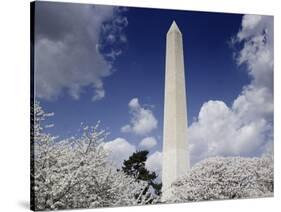 Washington Monument and cherry trees, Washington, D.C.-Carol Highsmith-Stretched Canvas