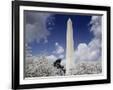 Gramercy Black