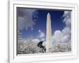 Gramercy White