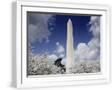 White Frame