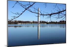 Washington Monument and Reflection-null-Mounted Poster