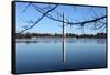 Washington Monument and Reflection-null-Framed Stretched Canvas