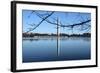 Washington Monument and Reflection-null-Framed Photo