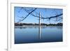 Washington Monument and Reflection-null-Framed Photo