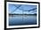 Washington Monument and Reflection-null-Framed Photo