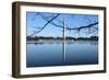 Washington Monument and Reflection-null-Framed Photo