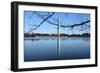 Washington Monument and Reflection-null-Framed Photo