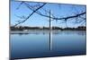 Washington Monument and Reflection-null-Mounted Photo