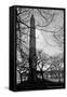Washington Monument Black and White DC-null-Framed Stretched Canvas
