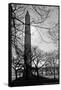 Washington Monument Black and White DC-null-Framed Stretched Canvas