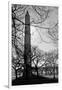 Washington Monument Black and White DC-null-Framed Photo