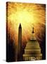 Washington Monument Capitol Building Washington, D.C. USA-null-Stretched Canvas