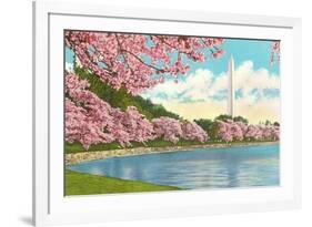 Washington Monument, Cherry Blossoms, Washington D.C.-null-Framed Art Print