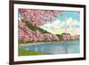 Washington Monument, Cherry Blossoms, Washington D.C.-null-Framed Art Print