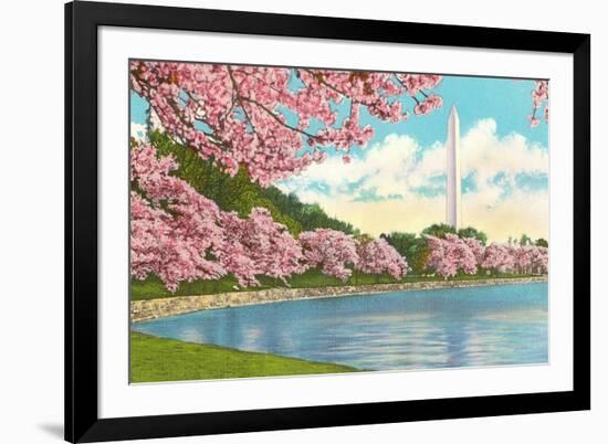 Washington Monument, Cherry Blossoms, Washington D.C.-null-Framed Art Print