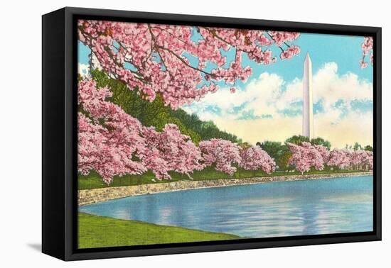 Washington Monument, Cherry Blossoms, Washington D.C.-null-Framed Stretched Canvas