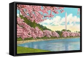 Washington Monument, Cherry Blossoms, Washington D.C.-null-Framed Stretched Canvas