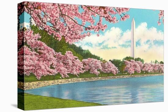 Washington Monument, Cherry Blossoms, Washington D.C.-null-Stretched Canvas