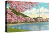 Washington Monument, Cherry Blossoms, Washington D.C.-null-Stretched Canvas