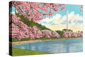 Washington Monument, Cherry Blossoms, Washington D.C.-null-Stretched Canvas