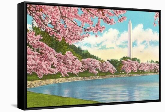 Washington Monument, Cherry Blossoms, Washington D.C.-null-Framed Stretched Canvas