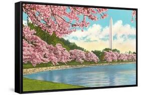 Washington Monument, Cherry Blossoms, Washington D.C.-null-Framed Stretched Canvas