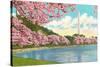 Washington Monument, Cherry Blossoms, Washington D.C.-null-Stretched Canvas