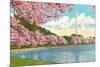 Washington Monument, Cherry Blossoms, Washington D.C.-null-Mounted Premium Giclee Print