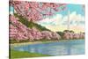 Washington Monument, Cherry Blossoms, Washington D.C.-null-Stretched Canvas