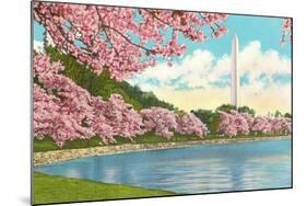 Washington Monument, Cherry Blossoms, Washington D.C.-null-Mounted Art Print