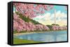 Washington Monument, Cherry Blossoms, Washington D.C.-null-Framed Stretched Canvas