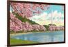 Washington Monument, Cherry Blossoms, Washington D.C.-null-Framed Art Print